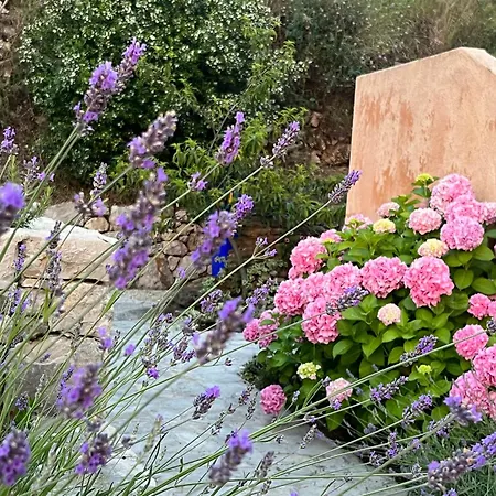 Вилла Authentica Lopud, Dubrovnik