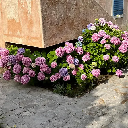 Authentica Lopud, Dubrovnik