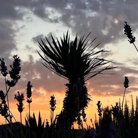 Вилла Authentica Lopud, Dubrovnik