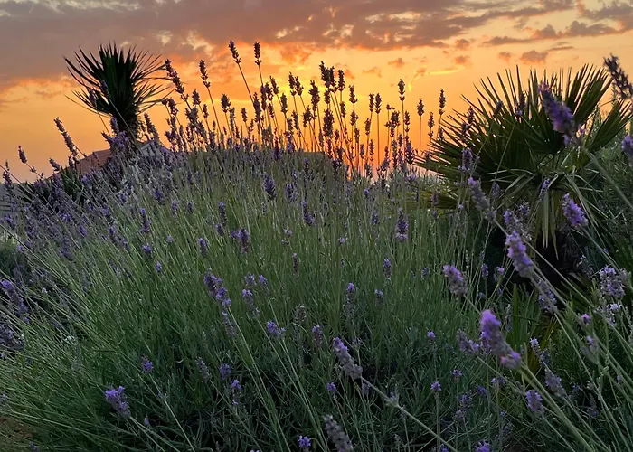 Вилла Authentica Lopud, Dubrovnik *