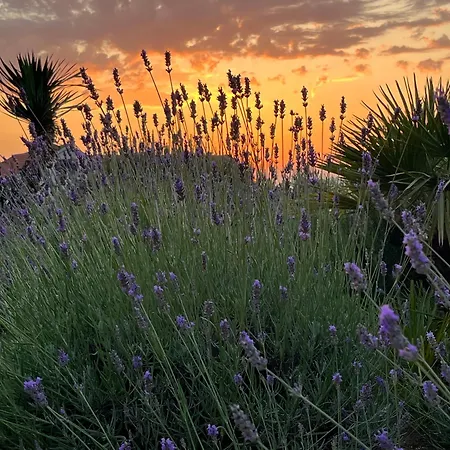 Villa Authentica Lopud, Dubrovnik *