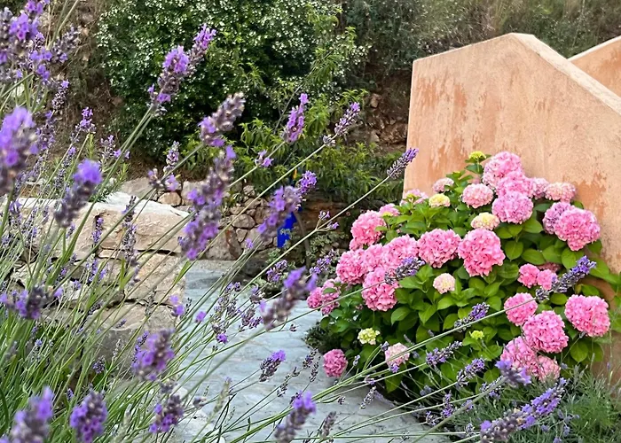 Vila Authentica Lopud, Dubrovnik