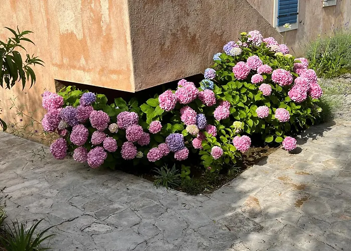 Authentica Lopud, Dubrovnik