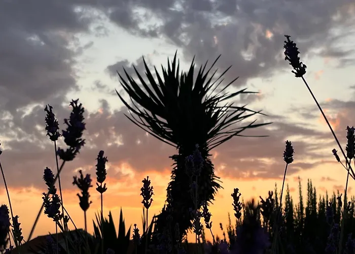 Вилла Authentica Lopud, Dubrovnik