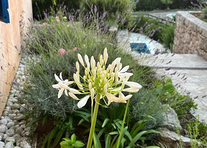 Authentica Lopud, Dubrovnik *